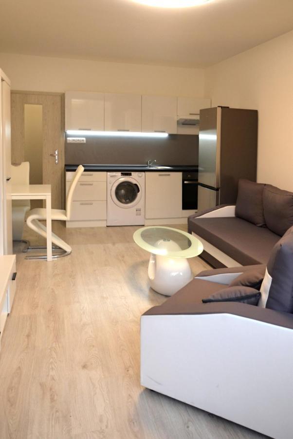 Utulny Apartman V Centru, S Krasnym Vyhledem 데친 외부 사진