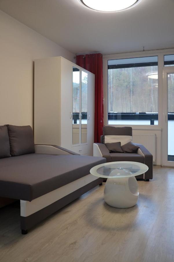 Utulny Apartman V Centru, S Krasnym Vyhledem 데친 외부 사진