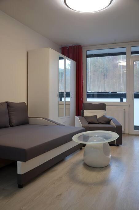 Utulny Apartman V Centru, S Krasnym Vyhledem 데친 외부 사진